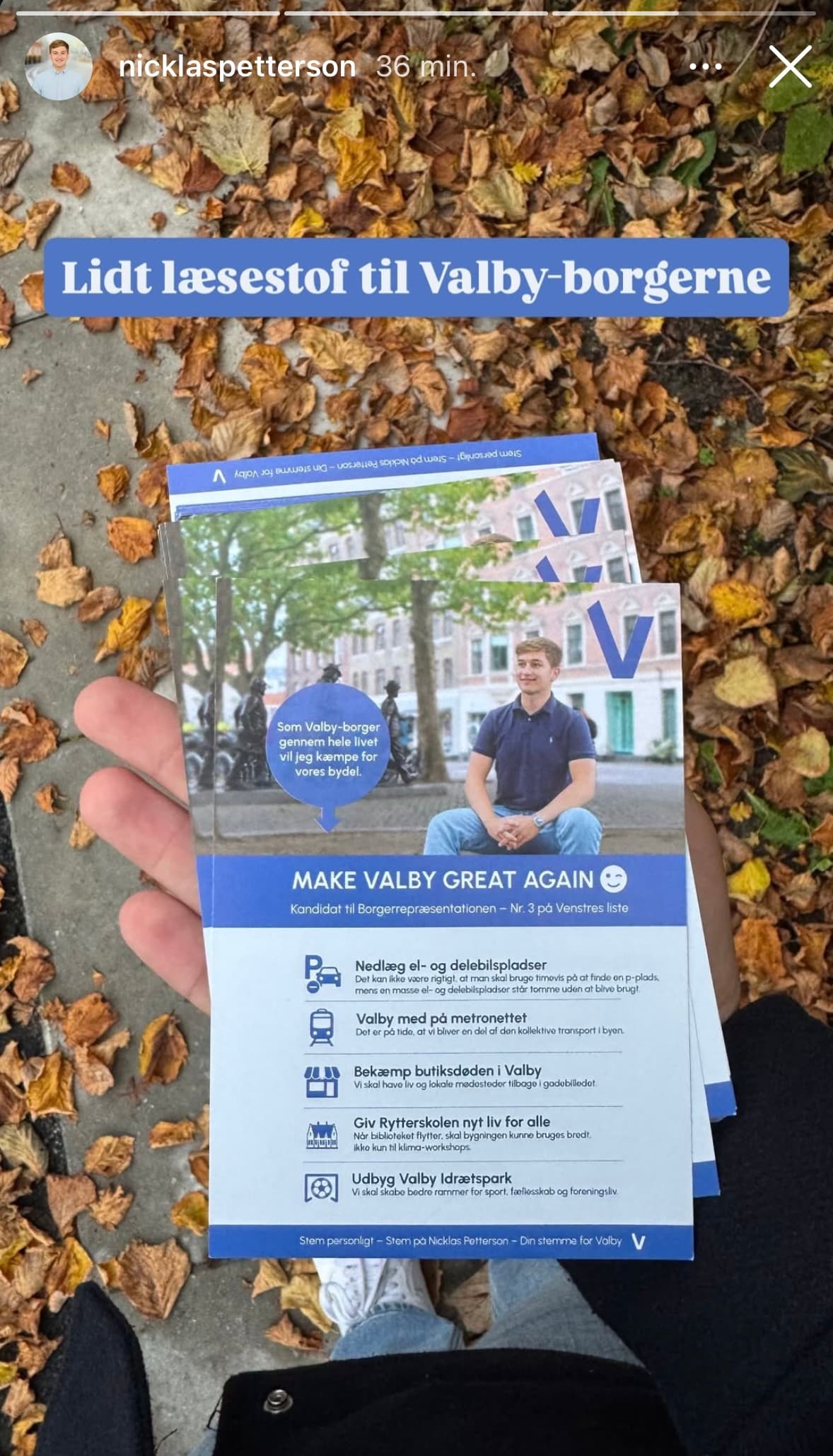 Nicklas Petterson city election campaign